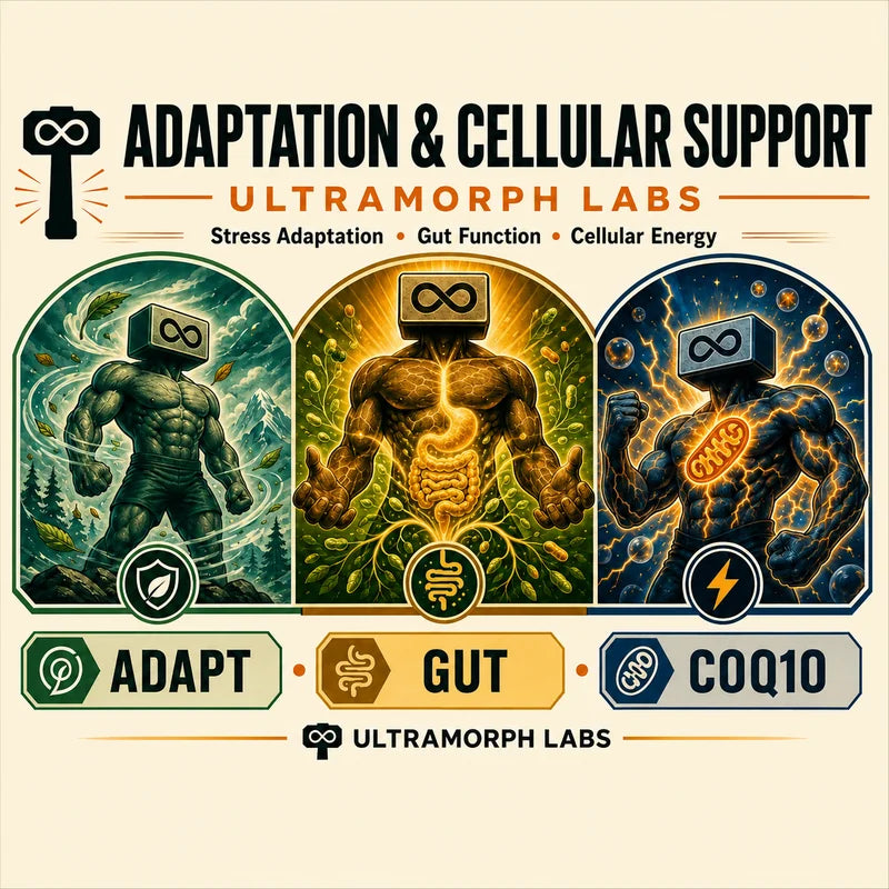 Adaptation & Cellular Support
